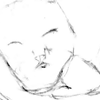 Cat Sketch